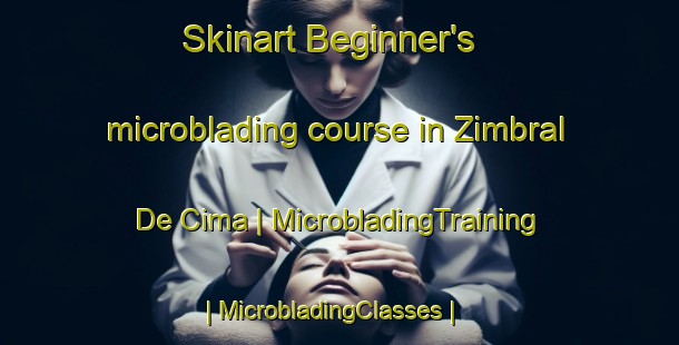 Skinart Beginner's microblading course in Zimbral De Cima | MicrobladingTraining | MicrobladingClasses | SkinartTraining-Portugal